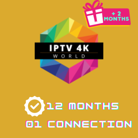 12 Month Subscription | 01 Connection